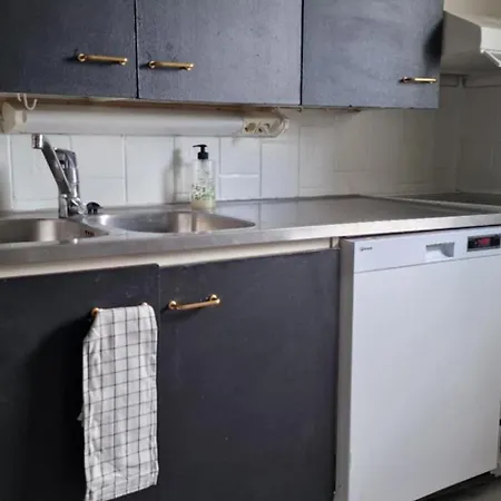 Seurala Sorsakosken Kylaetalo 아파트 *